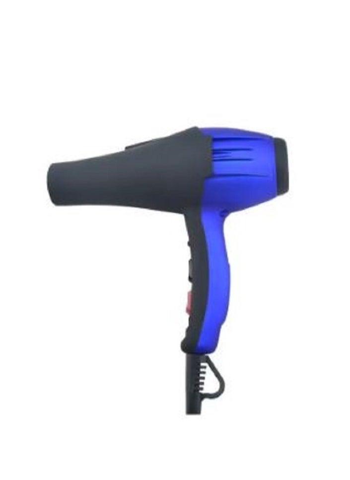 Dnex Long Life Low Noise Professional AC Motor Hair Dryer with Extra Long Cable And Removable Washable Air Intake Filter