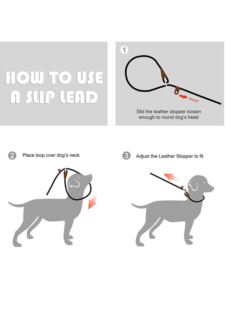 fida Durable Slip Lead Dog Leash / Training Leash(6ft length, 1/2 thick Rope) Yellow - Image 2