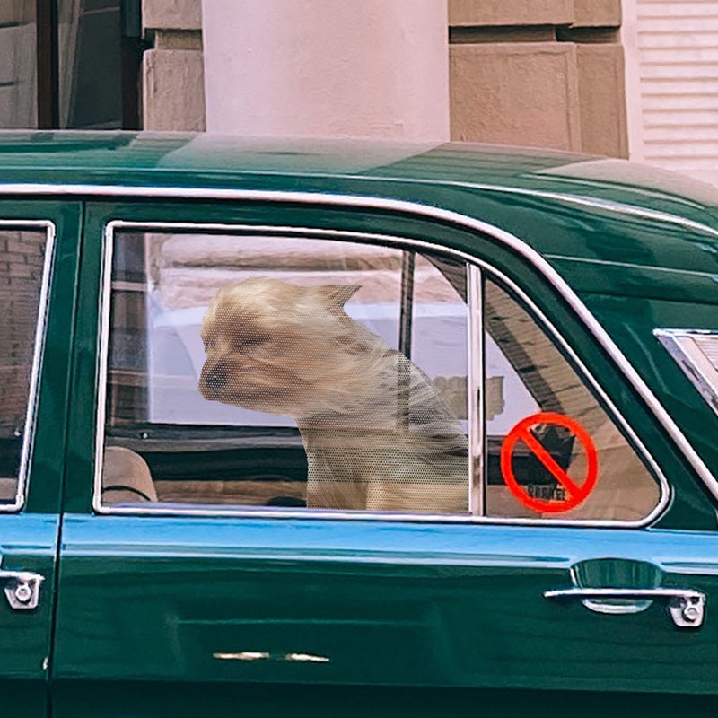 🚗 ملصق سيارة بنقش كلب ينفخ مقاوم للماء مقاس ثلاثون في ثلاثة وعشرون سنتيمتر عبوة واحدة - Image 4