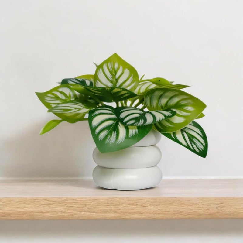 Flora Planet Artificial Plants for Home Decor | Realistic Looking | Home Decor Items | Durable Plastic | Wall Decoration Items for Living Room | Dimensions: 6 cm X 12 cm (Red) - Image 5