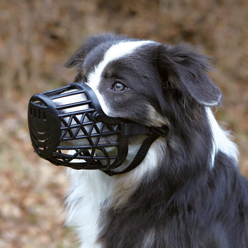 Trixie Plastic Black Muzzle for Dogs S-M - Image 3
