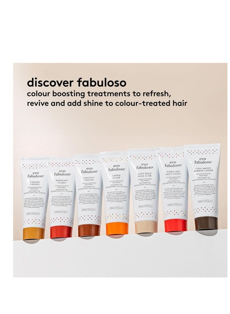 إيفو علاج تعزيز لون الكستناء Evo Fabuloso 220 مل - Image 3