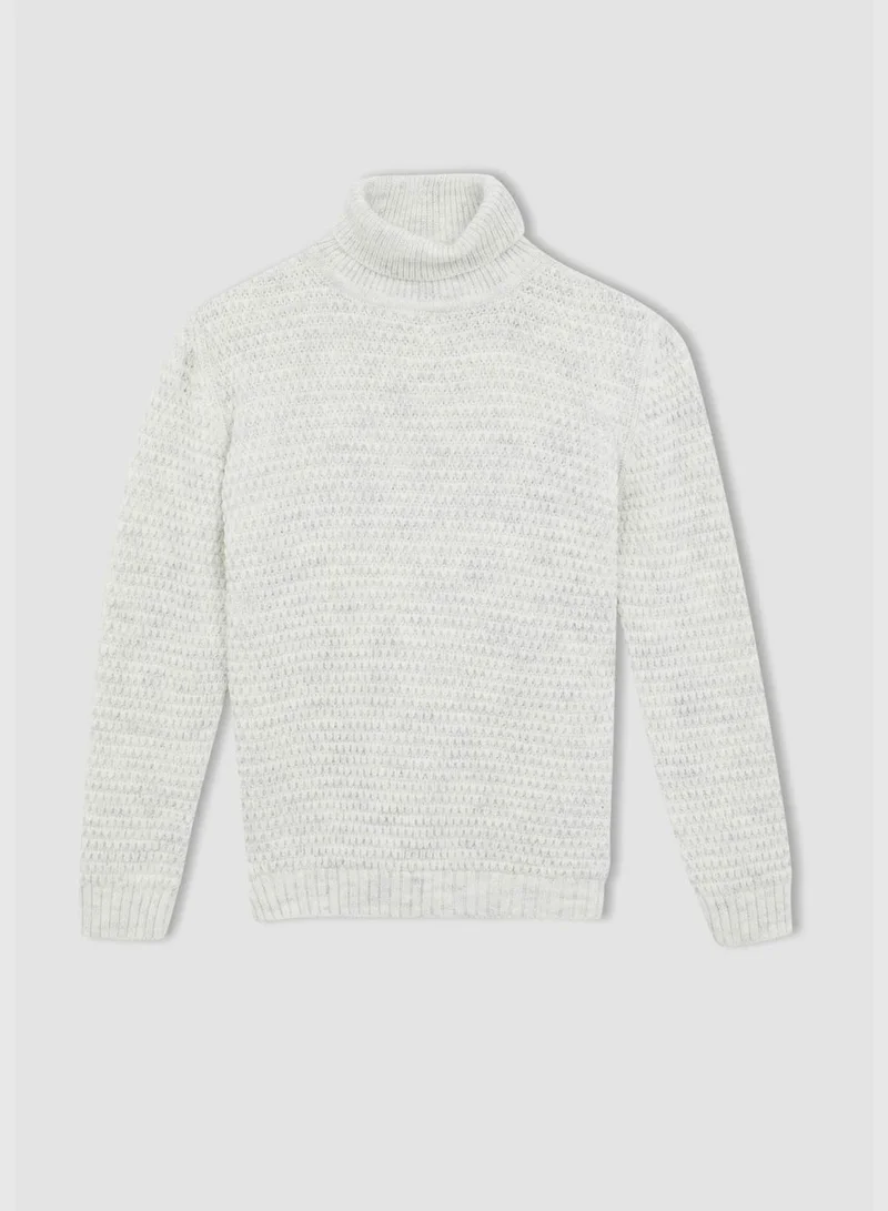DeFacto Regular Fit Turtleneck Long Sleeve Knitted Jumper