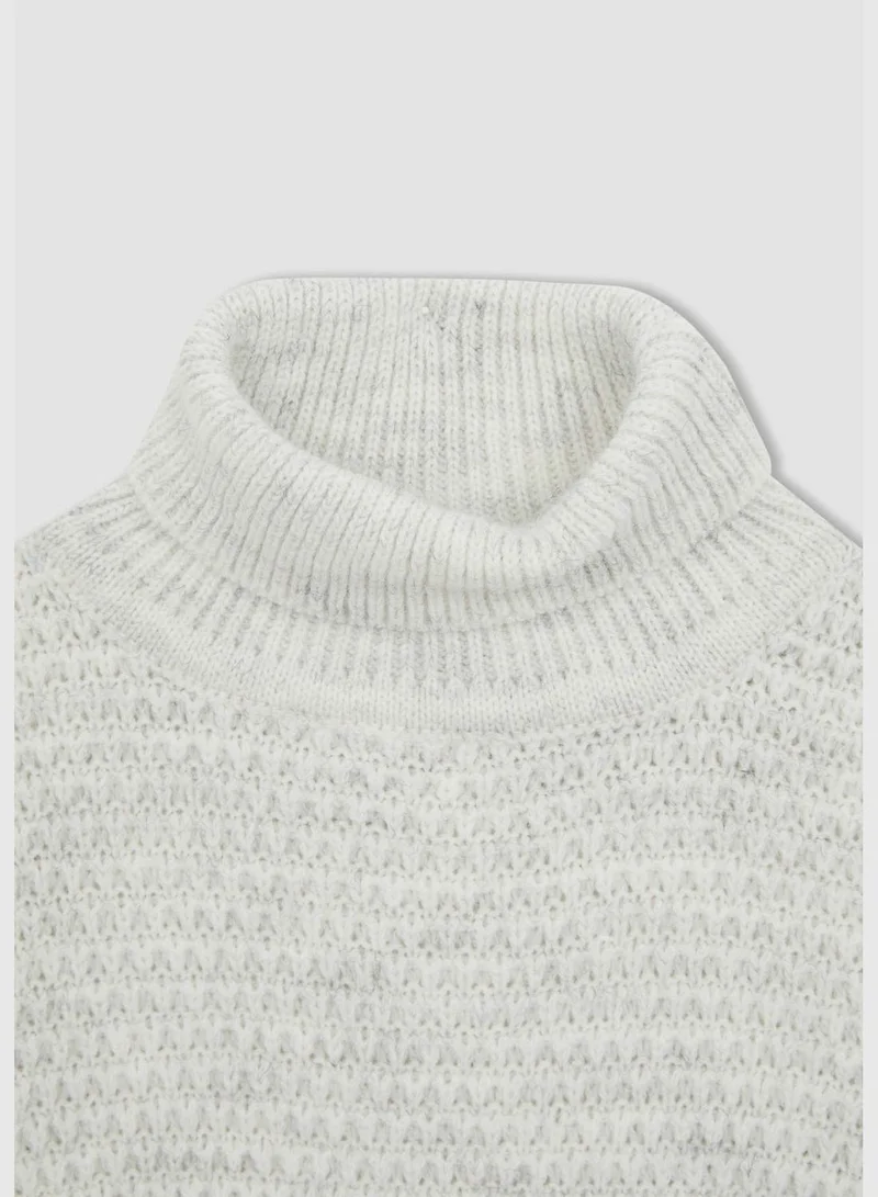 DeFacto Regular Fit Turtleneck Long Sleeve Knitted Jumper