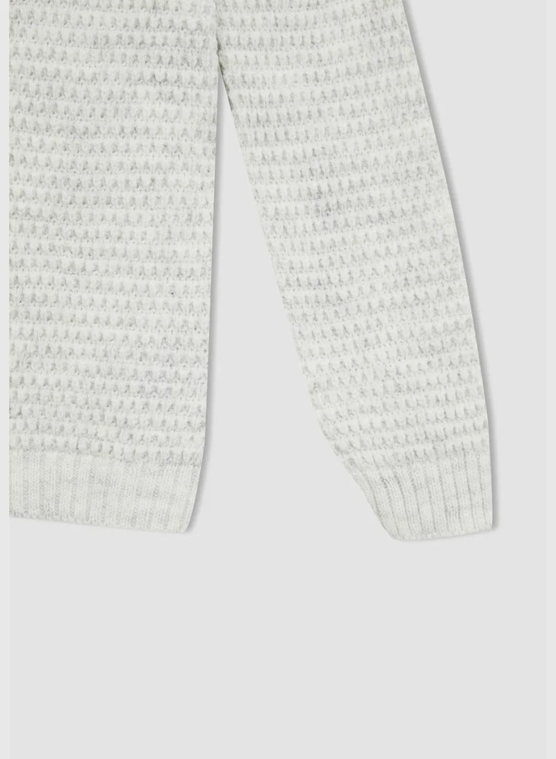 DeFacto Regular Fit Turtleneck Long Sleeve Knitted Jumper