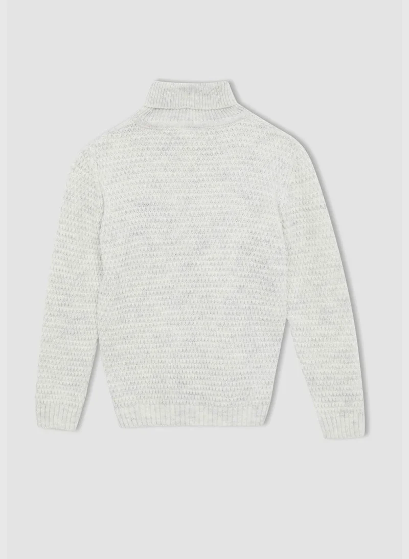 DeFacto Regular Fit Turtleneck Long Sleeve Knitted Jumper