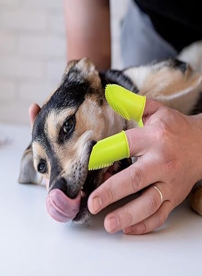 DNESHY 1pc Dog Toothbrush, 360°soft Bristles Double-Finger Tooth Brushing Kit, Silicone Dual Head Manual Toothbrush, Dog Teeth Cleaning Finger Brush, Oral Hygiene Tooth Brush for Small & Large Pets - Image 2