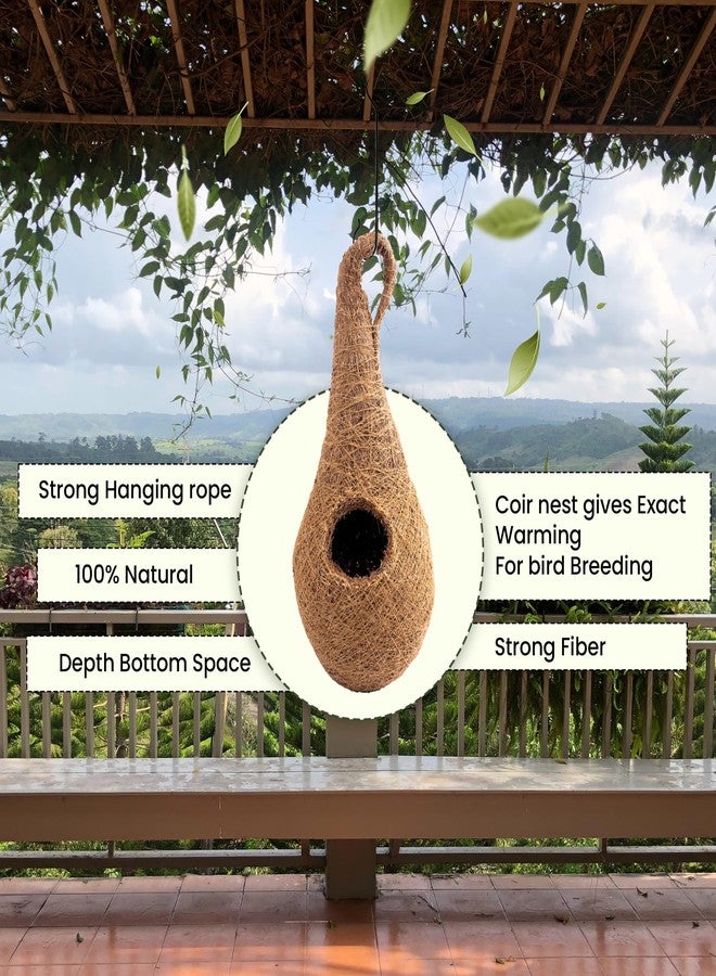 Sparrow Daughter Handwoven Coir Bird Nest - Natural Hanging Birdhouse for Sparrows, Finches, Java Sparrows & Other Small Birds, Ideal for Gardens, Balconies & Trees, (Pair of 1)(* 2 pcs) - Image 4