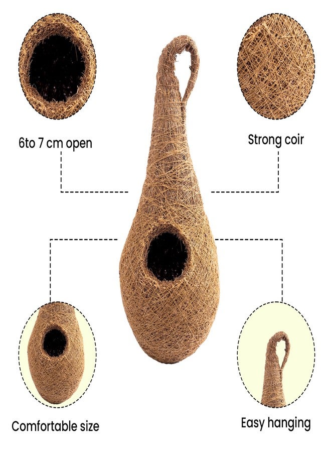 Sparrow Daughter Handwoven Coir Bird Nest - Natural Hanging Birdhouse for Sparrows, Finches, Java Sparrows & Other Small Birds, Ideal for Gardens, Balconies & Trees, (Pair of 1)(* 2 pcs) - Image 3