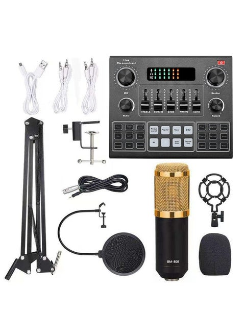 V9 Sound Card & BM800 Pro Microphone Bundle for Advanced Broadcasting,Bluetooth Sound Mixer Live Sound Card For Live Broadcast Streaming and Games