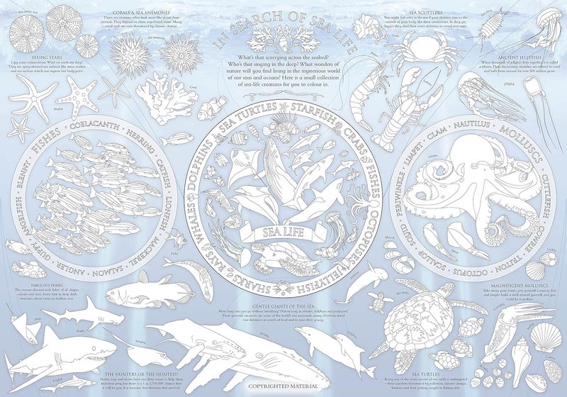 In Search of Sea Life Jigsaw and Poster  - Image 4