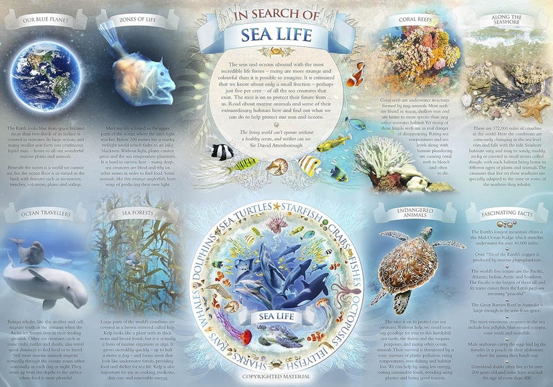 In Search of Sea Life Jigsaw and Poster  - Image 3