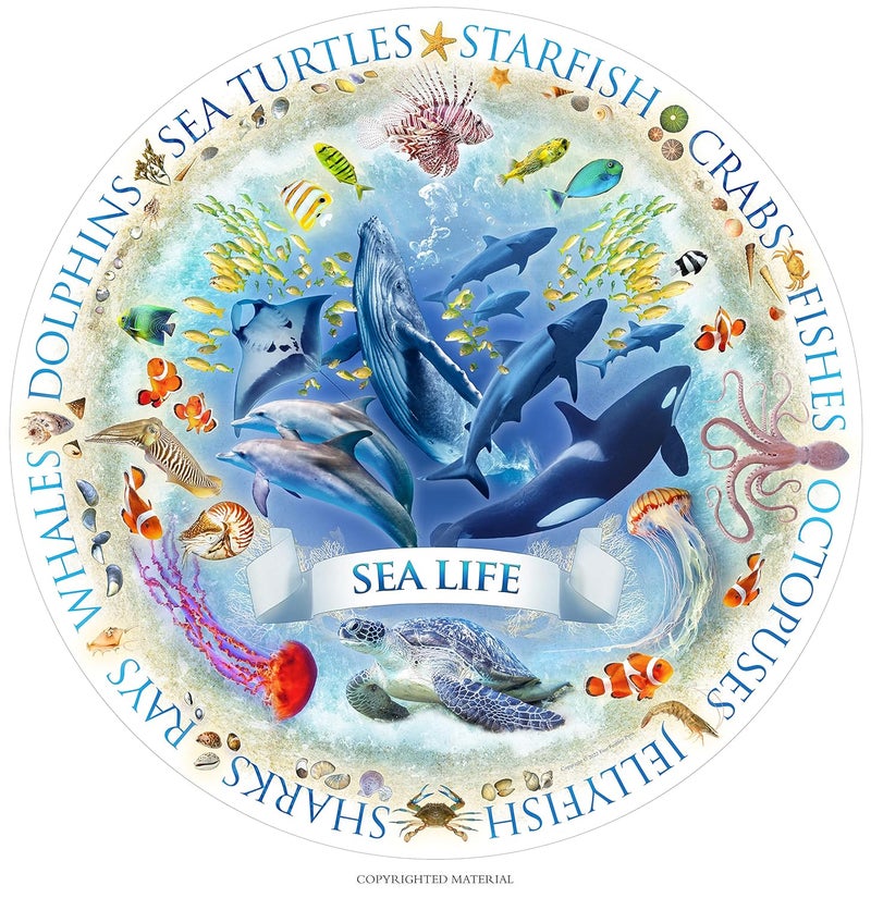 In Search of Sea Life Jigsaw and Poster  - Image 2