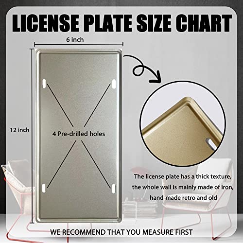 ROOKOPR Texas License Plate Aluminum Novelty Car Decor License Plates 12"x6" Front of Car Decorative Retro Rusty License Plate for Men Women Car-43 - Image 2