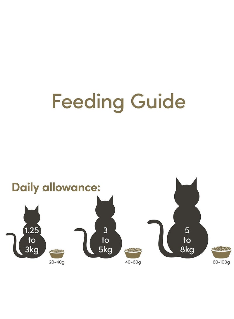 آبلاوس كرتون 24 عبوة معلب من ابلاوز للقطط الكبيرة و الصغيرة ( تونا ) - Image 4