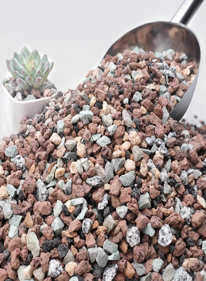 NUPICK 3lb Mix Horticultural Lava Rocks for Plants, 3/8" Colorful Succulent Potting Soil Amendments, Decorative Gravel for Cactus, Bonsai Gritty Rock, Pebbles Pumice for Vase Fillers, Top Dressing - Image 1