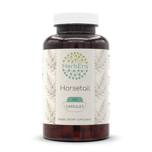 HerbEra Horsetail 120 Capsules, 1000 mg, Horsetail (Equisetum arvense) Dried Herb (120 Capsules) - Image 1
