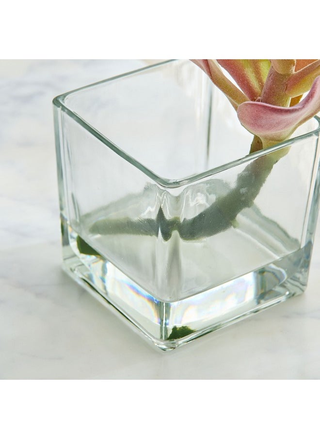 Home Box Liara Succulent Pick in Glass 15 x 15 x 18 cm  - Image 3