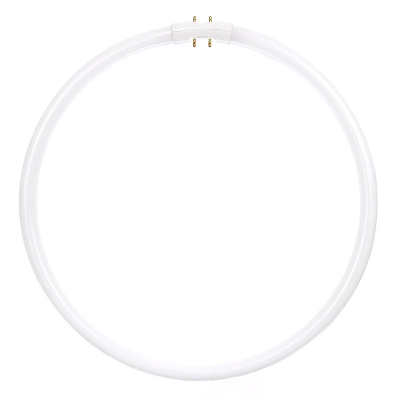 Sunlite FC22T5/SP841 Fluorescent 22W T5 Circline Ceiling Lights, 4100K Cool White Light, 2GX13 Base