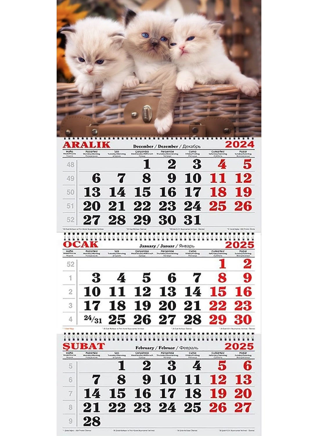 GENC DIGITAL PRINTING 2025 Sailor Calendar-Kittens in the Basket - pzsku/Z0419AD8C3E99145C9AF7Z/45/_/1730917080/dc9a6943-f1f8-4684-9624-57f7d69751d5