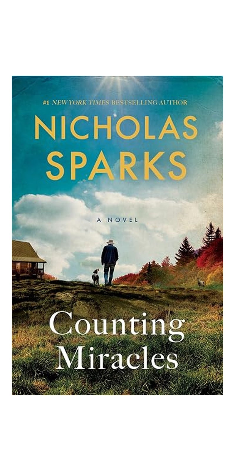 Counting Miracles: A Novel