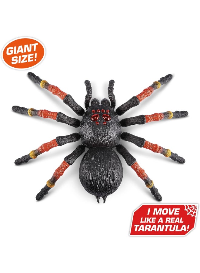Robo Alive Giant Tarantula by ZURU - Image 2