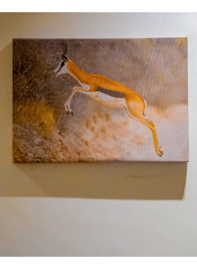 Gazelle in Flight (Springbok) Canvas Wall Frame - Image 1