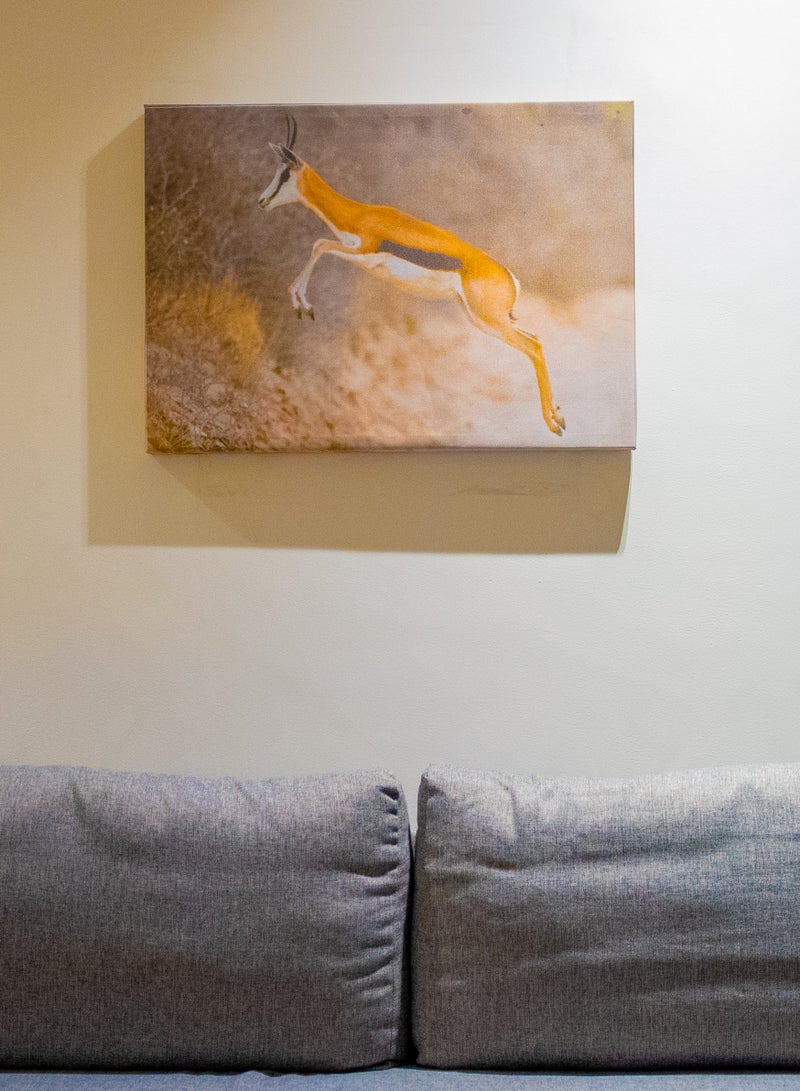 Gazelle in Flight (Springbok) Canvas Wall Frame - Image 2