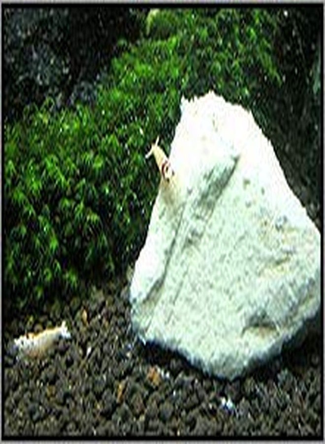 Shirakura Mineral Stone 200g For Shrimps Invertebrates - Image 3