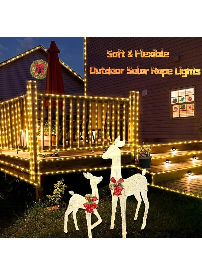 Qitong QITONG Solar Rope Lights Outdoor Waterproof, 2 Pack 33ft 100 LED Solar Rope String Lights Warm White, PVC Tube Fairy Lights for Garden Yard Fence Party Walkway Path  - Image 2