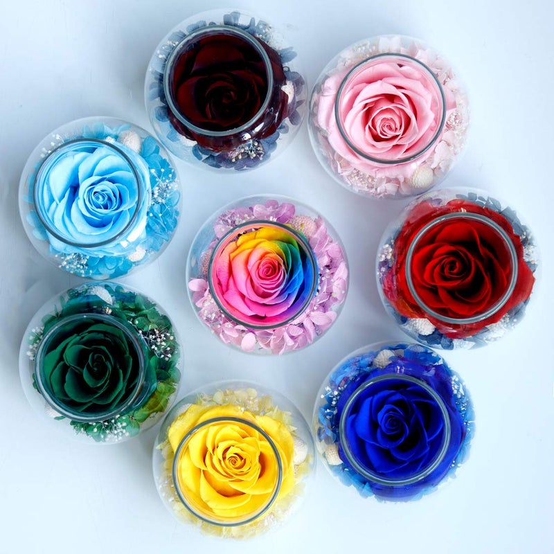 roliys Preserved Real Roses with Colorful Mood Light Wishing Bottle Eternal Rose Never Withered Flowers  Christmas Anniversary Valentine's Mother's Day a Gifts for Women 4.3inch 1pcs(Light Blue) - Image 5