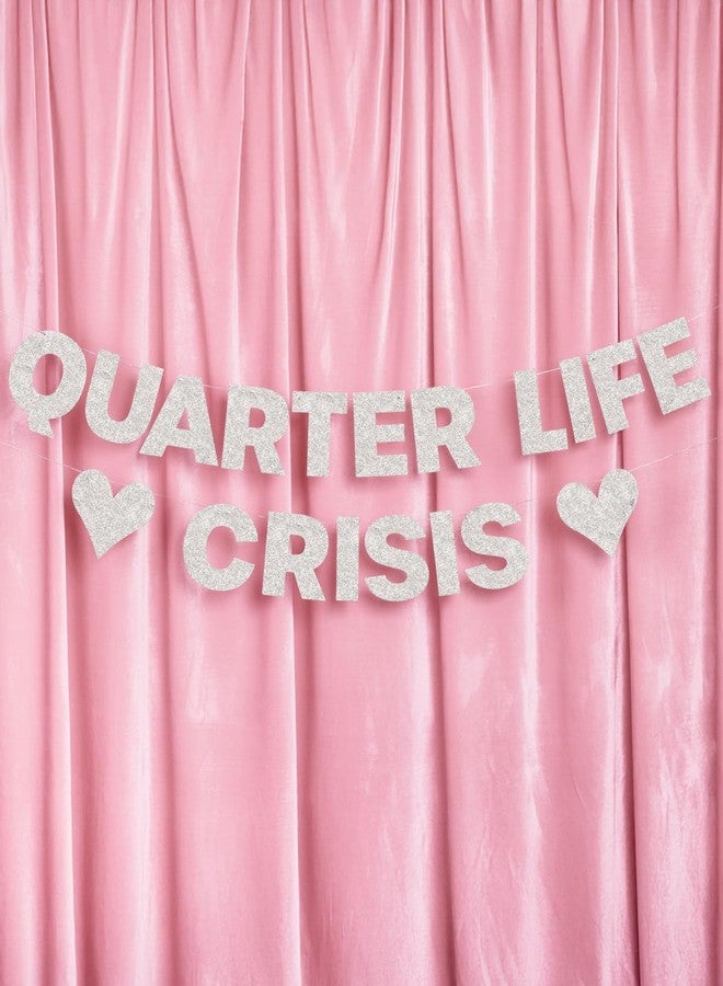 xo, Fetti Quarter Life Crisis Banner - Silver Glitter, 4 Ft. | Fun Birthday Party Decorations, 25th Birthday Decor, HBD, Gag Gift, Photobooth Backdrop, 30th Birthday - Image 3