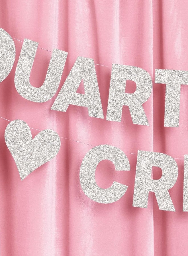 xo, Fetti Quarter Life Crisis Banner - Silver Glitter, 4 Ft. | Fun Birthday Party Decorations, 25th Birthday Decor, HBD, Gag Gift, Photobooth Backdrop, 30th Birthday - Image 4