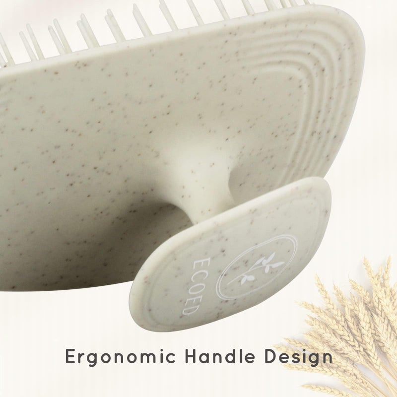 ecoed Scalp Massager Shampoo Brush,Scalp Scrubber for Dandruff Removal, Scalp Care Hair Brush Wet & Dry detangler for Men and Women. (Grey, 1pc- Soft for Short & Medium Hair) - Image 4