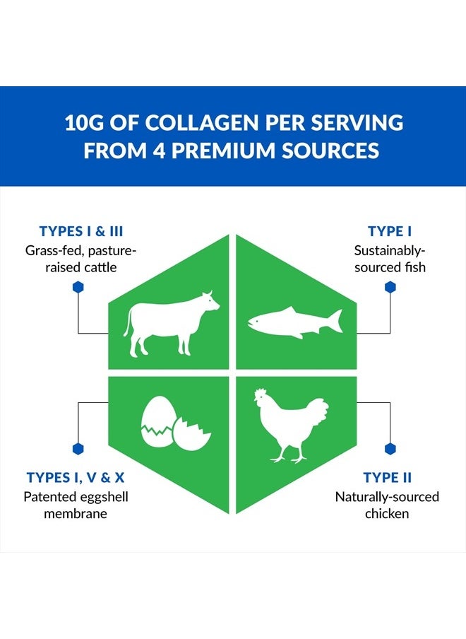 BioTrust Ageless Multi Collagen Peptides Powder – 5 Types (I, II, III, V, X) – Fruit Punch Collagen Powder for Women & Men – Hydrolyzed Protein – Grass Fed Beef, Fish, Chicken, Eggshell Membrane  - Image 3