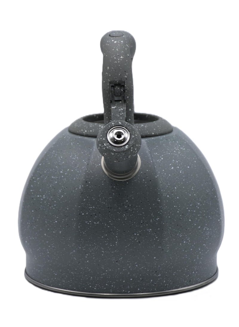HausRoland Whistling Kettle, Stovetop Tea Kettle, Stainless Teapot, 3 Liters with Dotted Grain Design, Fast Boiling, Perfect for Homes, Picnics, and Parties - Image 2