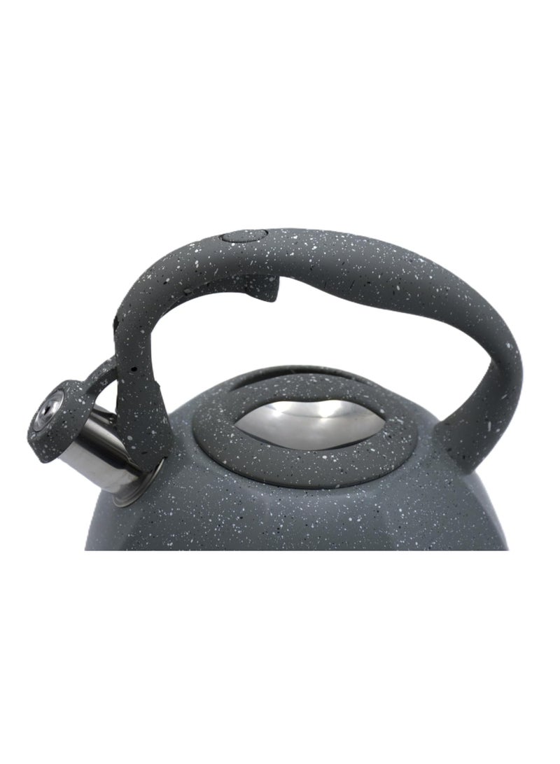 HausRoland Whistling Kettle, Stovetop Tea Kettle, Stainless Teapot, 3 Liters with Dotted Grain Design, Fast Boiling, Perfect for Homes, Picnics, and Parties - Image 3