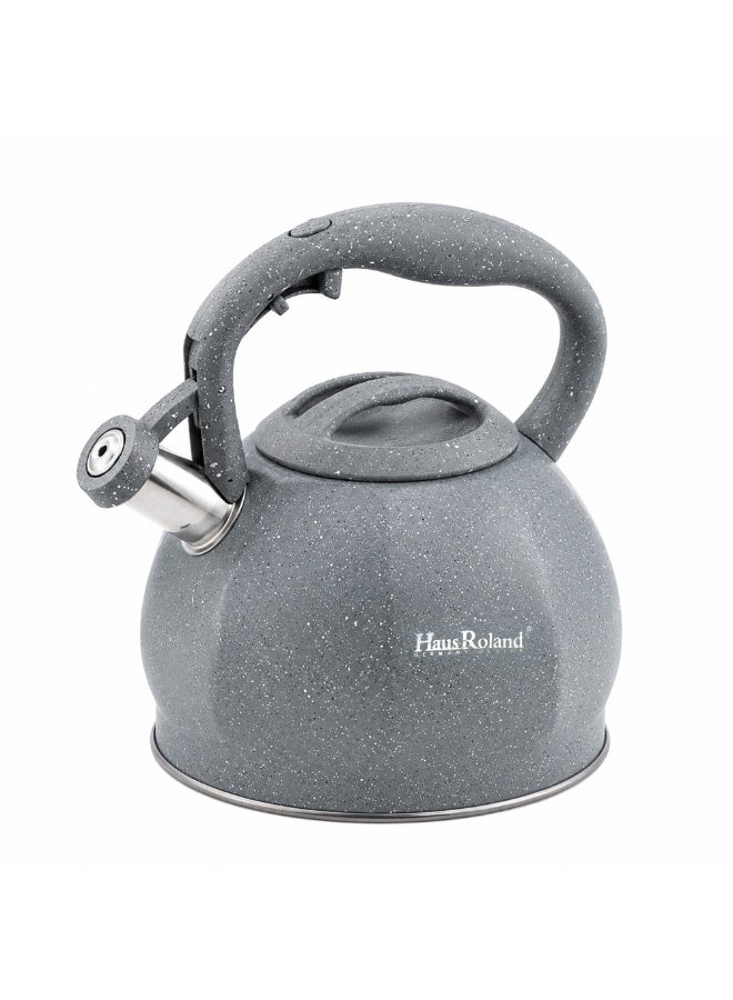 HausRoland Whistling Kettle, Stovetop Tea Kettle, Stainless Teapot, 3 Liters with Dotted Grain Design, Fast Boiling, Perfect for Homes, Picnics, and Parties - Image 1