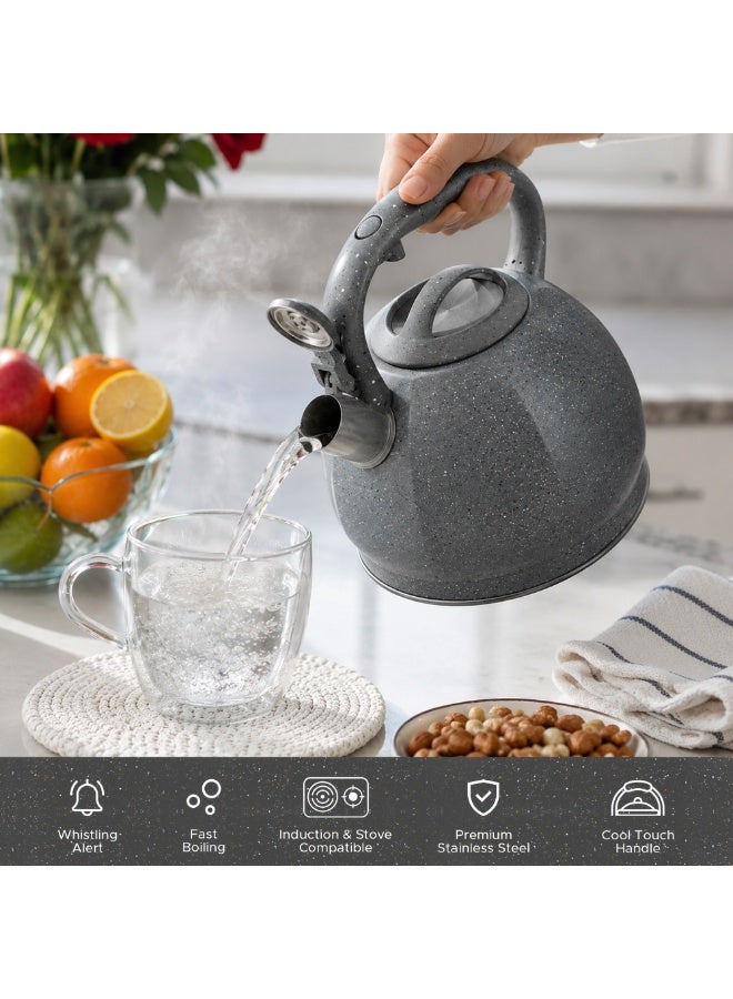 HausRoland Whistling Kettle, Stovetop Tea Kettle, Stainless Teapot, 3 Liters with Dotted Grain Design, Fast Boiling, Perfect for Homes, Picnics, and Parties - Image 4
