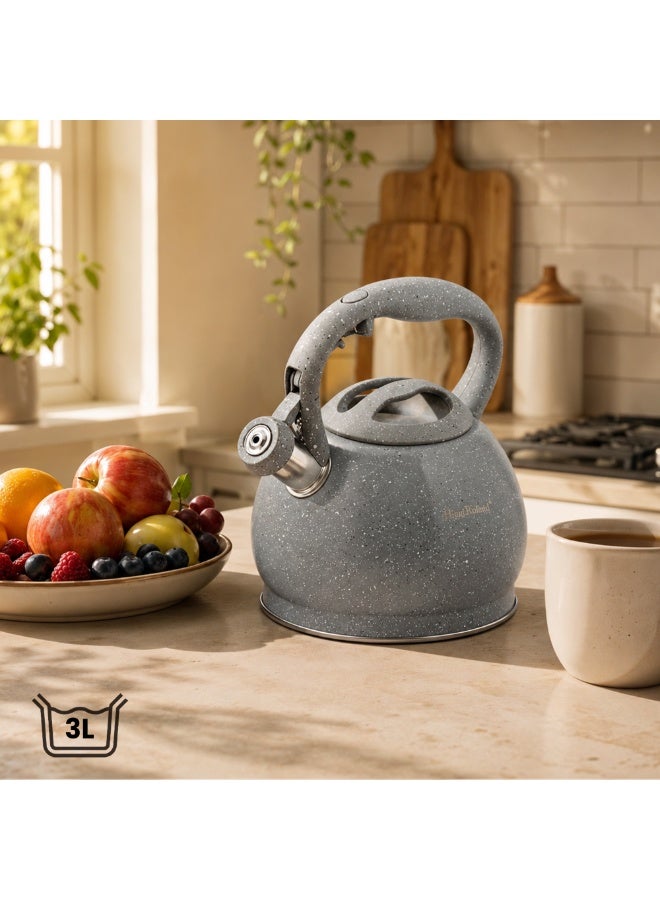 HausRoland Whistling Kettle, Stovetop Tea Kettle, Stainless Teapot, 3 Liters with Dotted Grain Design, Fast Boiling, Perfect for Homes, Picnics, and Parties - Image 5