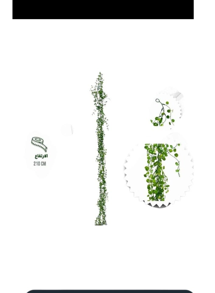 AL KHALDIYA Vegetable waterfall, 210 cm long 