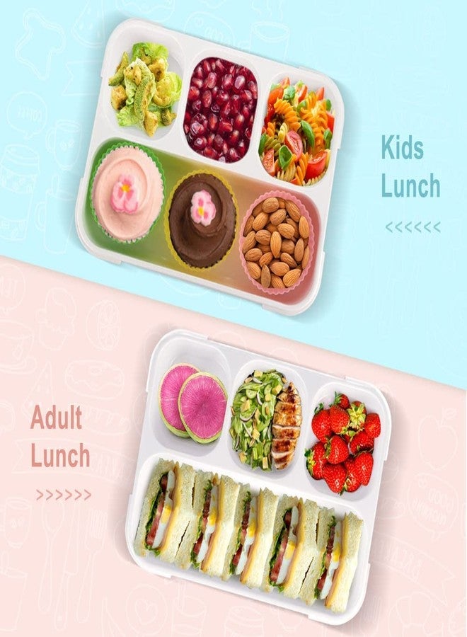 XIBO Grid Lunch Box for Kids Tiffin Box Leak Proof 4 Compartment Lunch Box Reusable Microwave Freezer Safe Food Containers with Spoon for Adults and Kids. - Image 5
