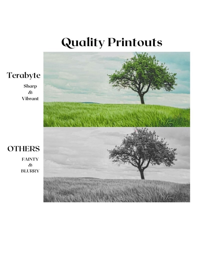 Terabyte BLACK COMPATIBLE TONER CLT808S - Image 2