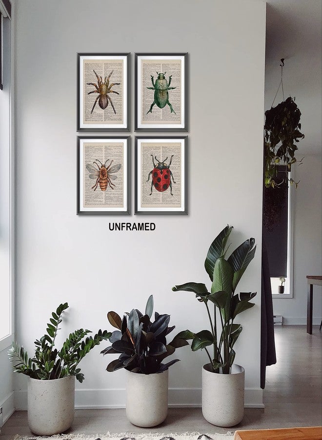 AEHIE Vintage Honey Bee Spider Ladybug Beetle Dictionary Art Poster Prints for Home Kitchen Nursery Classroom Decor,Garden Forest Nature Insects Decorations Prints Wall Art Unframed 4pcs 8x10inches - Image 3