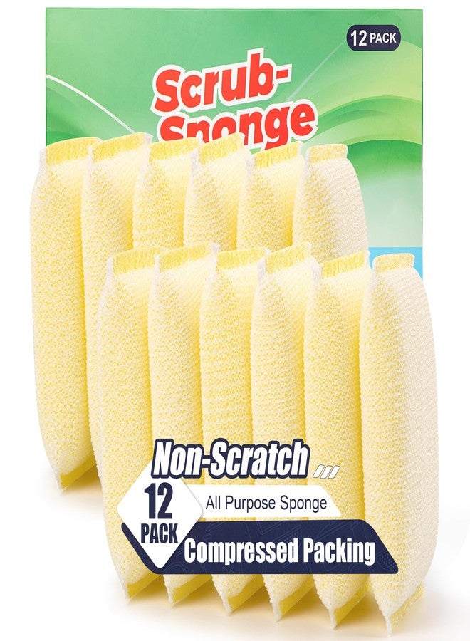 PANYEE All-Purpose Non Scratch Sponges，Sponges Kitchen for Washing and Cleaning Dishes, Non-Stick Cookware,Premium Scrub and Scrubbers，Cleaning of Kitchen, Bathroom,and Household,12Pad - Image 1