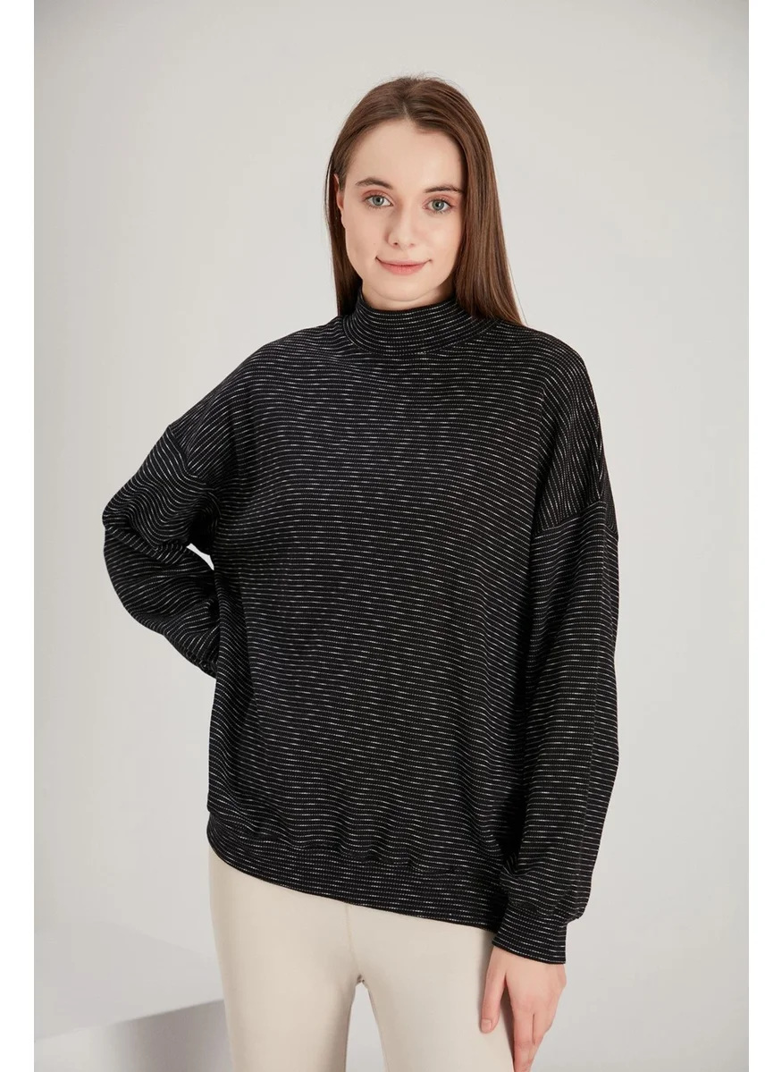 Alexander Gardi Alexandergardı Turtleneck Sweatshirt (B21-36700)