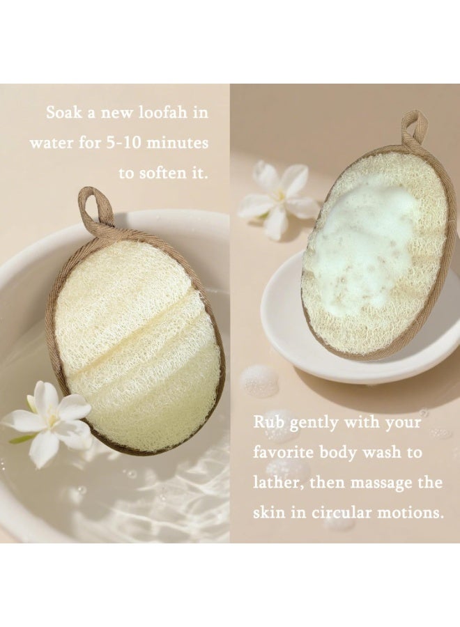 صن سباير مجموعة من 2 مجموعة استحمام من الإسفنج الطبيعي للأطفال، بما في ذلك صابون زيت العسل الطبيعي العطري، علاج سبا مقشر للاستحمام، فرشاة تنظيف الظهر من الإسفنج الطبيعي - Image 5