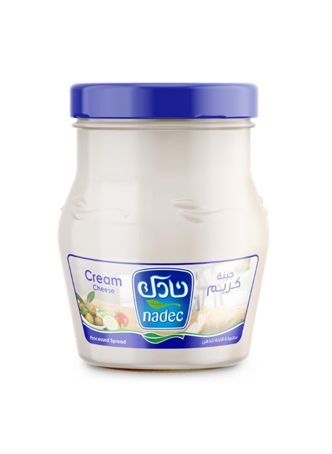 Nadec Processed Cream Cheese Spread 500g
