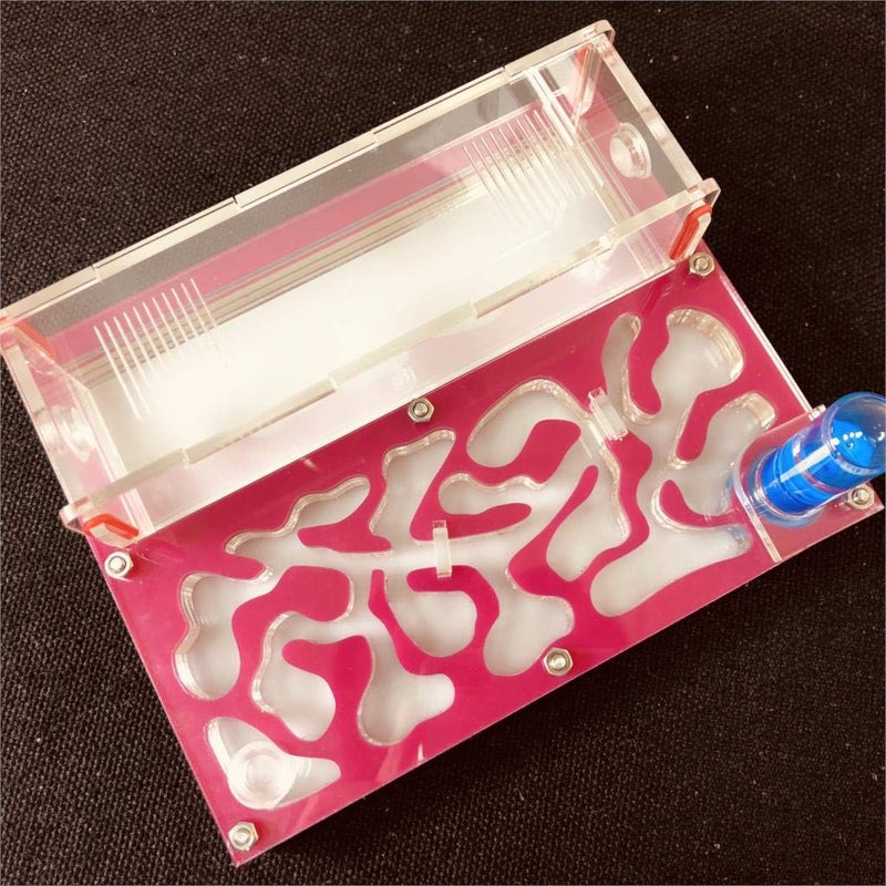 ANT GRAPE ANT 150mmx110mm Test Tube Moisture Big Space Nest Farm Acrylic Insect Villa House Ecological Workshop Pink - Image 2