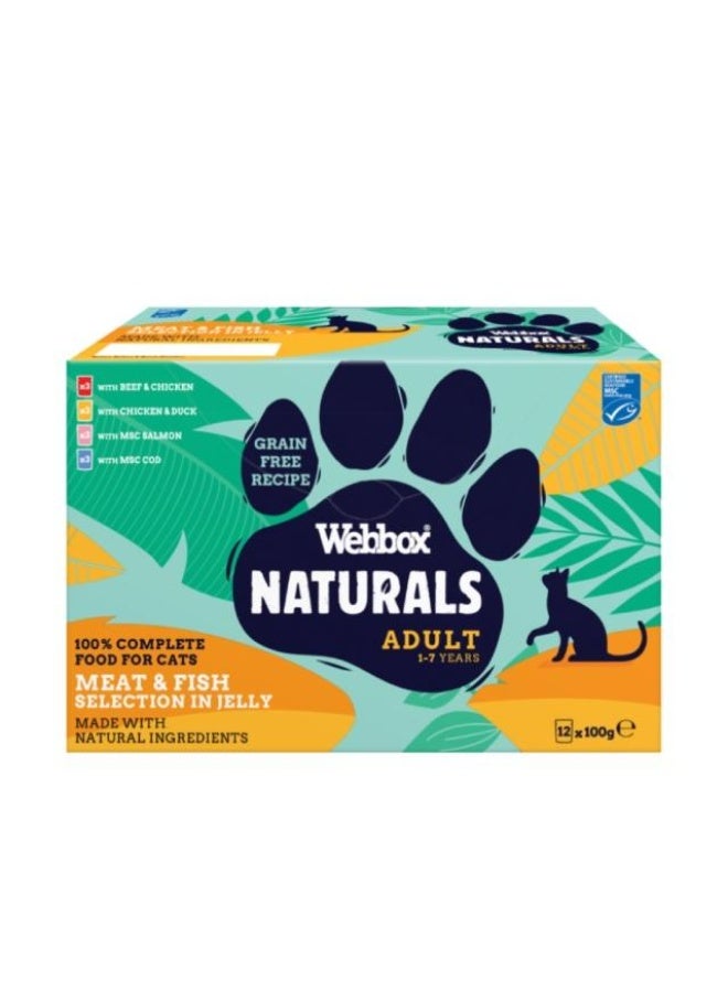 Wet Cat Food, Mixed Fish & Meat in Jelly - 12 x 100g, Germany